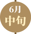 115/06中旬